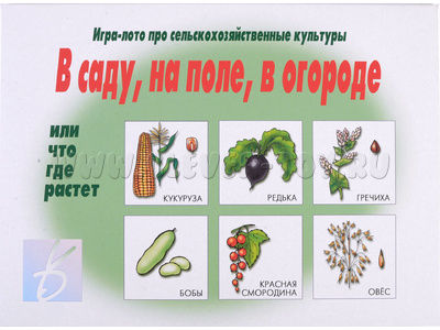 Развивающая игра "В саду, на поле, в огороде" Развивающая игра "В саду, на поле, в огороде"