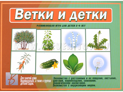 Развивающая игра "Ветки и детки" (остатки)
