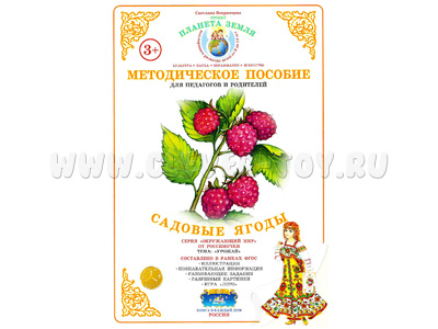 Методическое пособие "Садовые ягоды" (дидактический материал) Методическое пособие "Садовые ягоды" (дидактический материал)