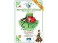 Методическое пособие "Насекомые 2" (дидактический материал) Методическое пособие "Насекомые 2" (дидактический материал)