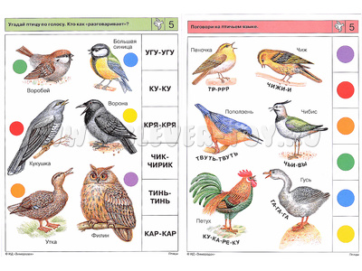 ЛОГИКО-Малыш. Мир природы. Птицы (набор карточек для планшета) ЛОГИКО-Малыш. Мир природы. Птицы (набор карточек для планшета)