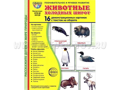 Демонстрационные картинки СУПЕР в папке. Животные холодных широт (16 шт.)
